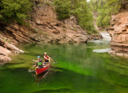 20130720_Gegepgim_TTA_0461