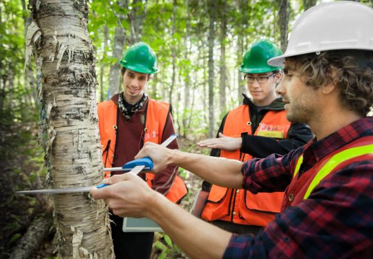  2016_Foresterie prof_RogerSt-Laurent