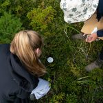 Sciences de la nature cégep Îles