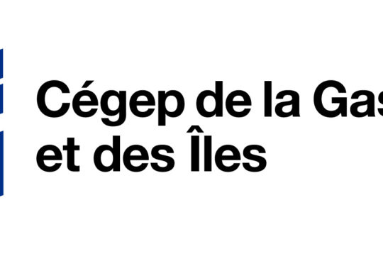  logo_CegepGIM-RVB300dpi