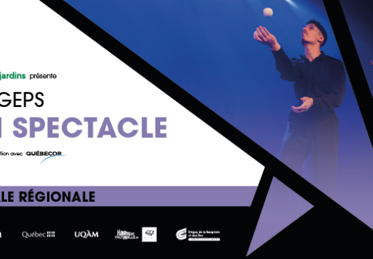  vignette-billetterie-regionale_iles