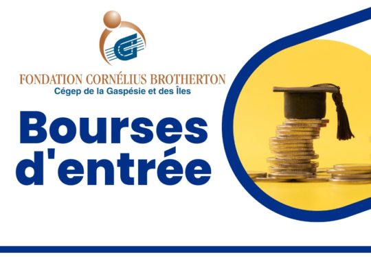  Bourses d'entrée(1)