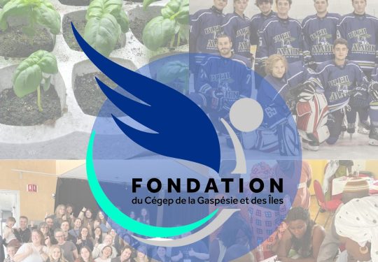  42 projets soutenus par la Fondation