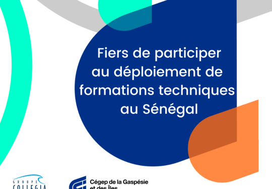 formations techniques au Sénégal (2)