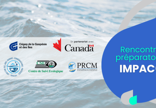 IMPAC6