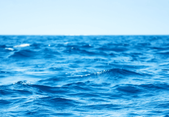  Programme de bourses d’études_Économie Bleue (1)