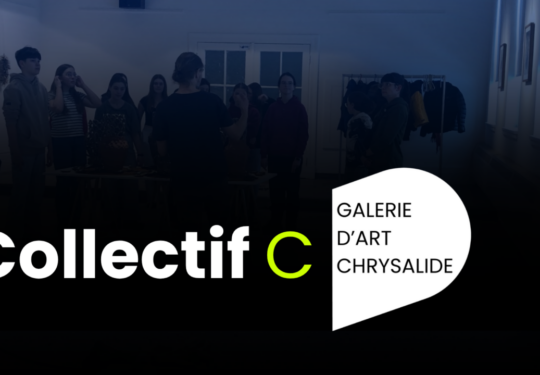  Collectif C a la galerie Chrysalide